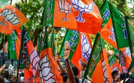 मनपा निवडणूक : भाजपकडे सर्वाधिक दावेदार, तिकीट वाटपावर मोठी चुरस